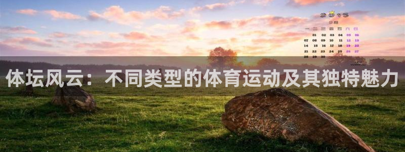 下载风速体育：体坛风云：不同类型的体育运动及其独特魅力