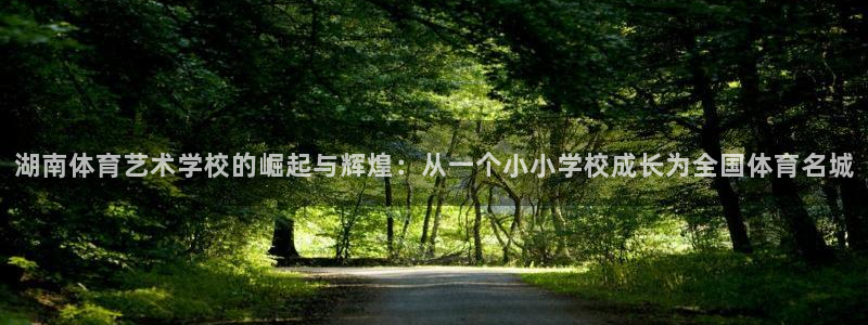 风速体育下载：湖南体育艺术学校的崛起与辉煌：从一个小小学校成长为全国体育名城