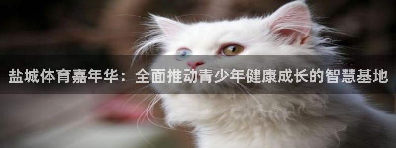 风速体育nba免费直播：盐城体育嘉年华：全面推动青少年健康成长的智慧基地