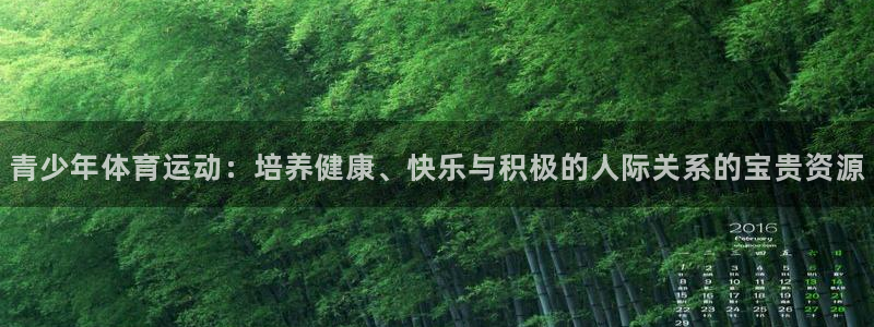 风速体育app官方下载：青少年体育运动：培养健康、快乐与积极的人际关系的宝贵资源