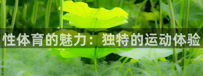 风速体育app下载安装最新版本：性体育的魅力：独特的运动体验