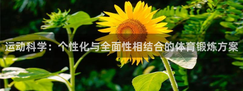 风速体育app：运动科学：个性化与全面性相结合的体育锻炼方案