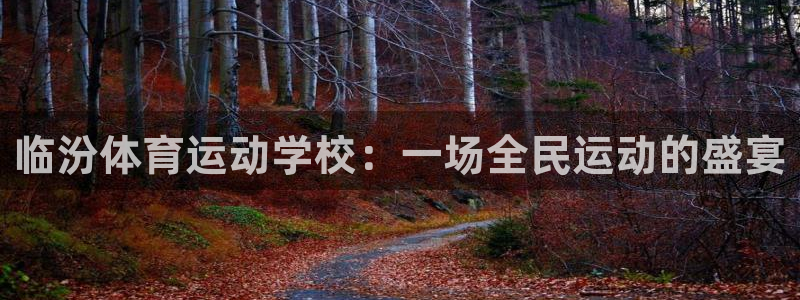 风速体育app下载安装最新版本：临汾体育运动学校：一场全民运动的盛宴