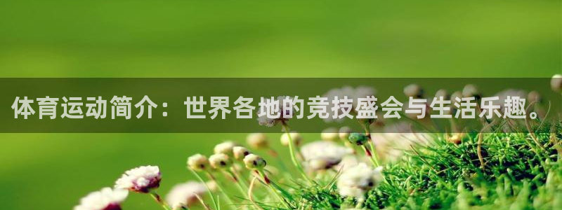 风速体育：体育运动简介：世界各地的竞技盛会与生活乐趣。