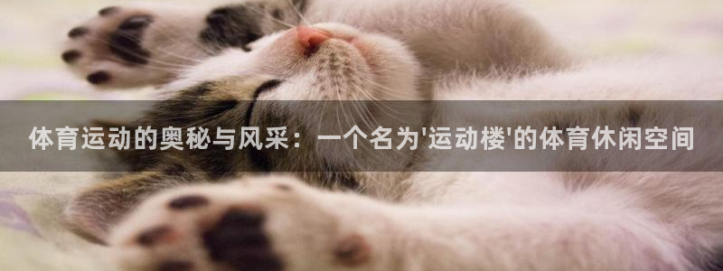 风速体育：体育运动的奥秘与风采：一个名为\'运动楼\'的体育休闲空间
