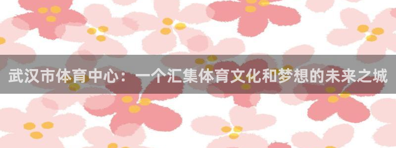 风速体育下载：武汉市体育中心：一个汇集体育文化和梦想的未来之城