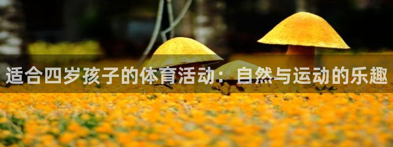 风速体育：适合四岁孩子的体育活动：自然与运动的乐趣