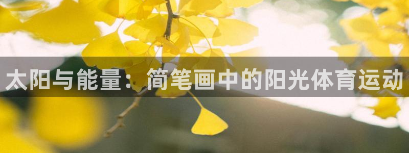 风速体育：太阳与能量：简笔画中的阳光体育运动