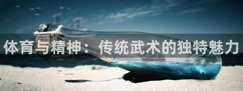 风速体育直播app：体育与精神：传统武术的独特魅力