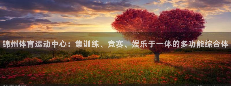 风速体育官网：锦州体育运动中心：集训练、竞赛、娱乐于一体的多功能综合体