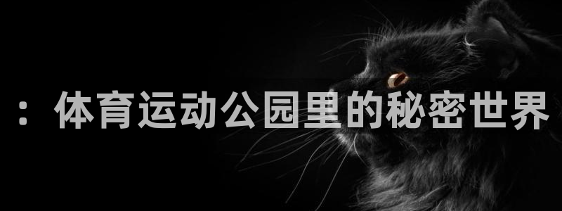 风速体育直播：：体育运动公园里的秘密世界