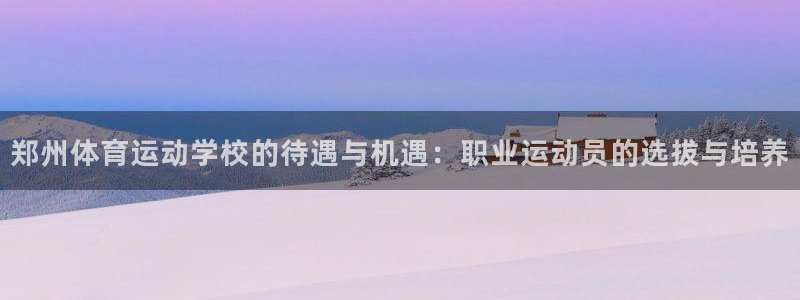 下载风速体育：郑州体育运动学校的待遇与机遇：职业运动员的选拔与培养