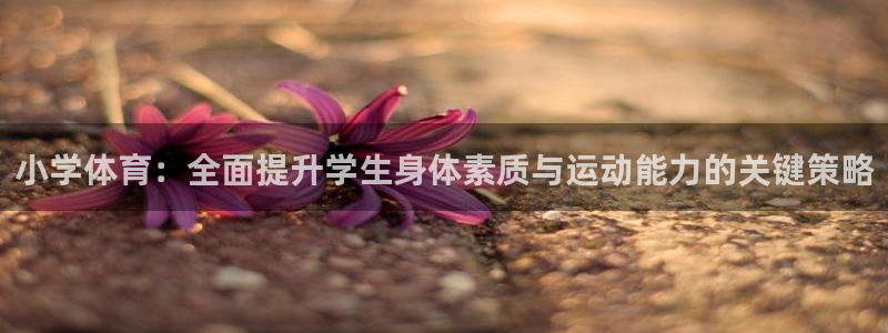 风速体育官网：小学体育：全面提升学生身体素质与运动能力的关键策略